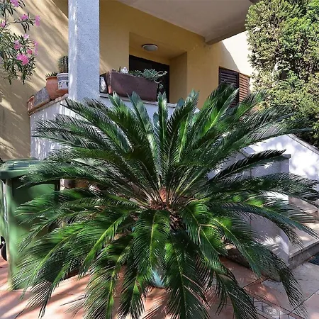 Fuer 8 Personen Ca 120 Qm In Fazana-surida, Istrien Istrische Riviera Apartment Valbandon
